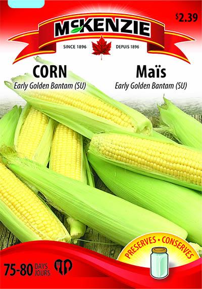 Maïs ‘Early Golden Bantam’ – Corn - Pépinière