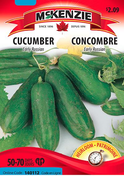 Concombre ‘Early Russian’ / ‘Early Russian’ Cucumber - Pépinière