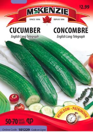 Concombre ‘English Long Telegraph’ – Cucumber - Pépinière