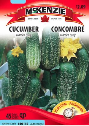 Concombre ‘Morden Early’ – Cucumber - Pépinière