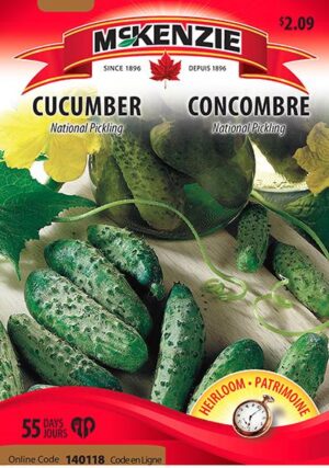 Concombre ‘National Pickling’ – Cucumber - Pépinière