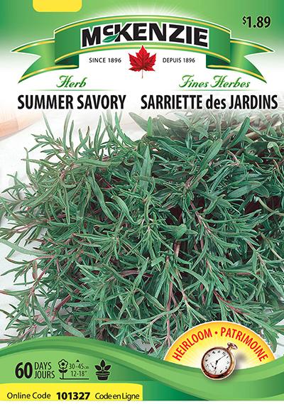 Sarriette des Jardins / Summer Savory - Pépinière
