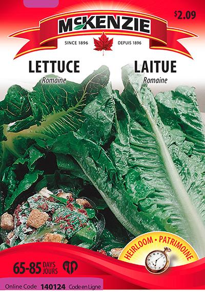 Laitue Romaine / Romaine Lettuce - Pépinière