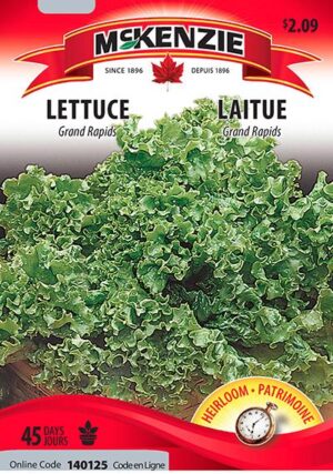 Laitue ‘Grand Rapids’ / ‘Grand Rapids’ Lettuce - Pépinière