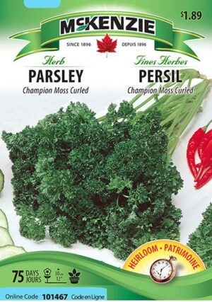 Persil ‘Champion Moss Curled’ / ‘Champion Moss Curled’ Parsley - Pépinière