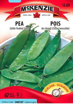 Pois des neiges (Cosse comestible) – Edible Podded Snow Pea - Pépinière