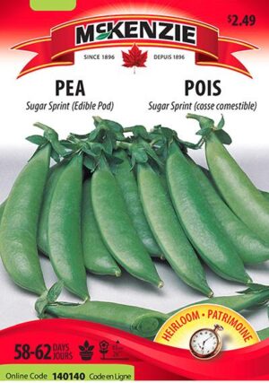 McKenzie / Pea ‘Sugar Sprint’ - Pépinière