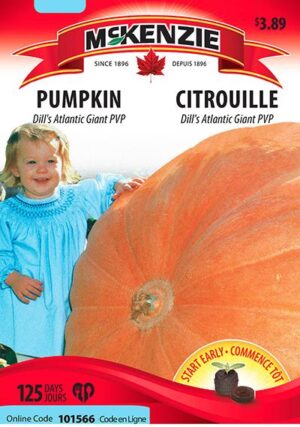 Citrouille ‘Dill’s Atlantic Giant’ PVP – Pumpkin - Pépinière