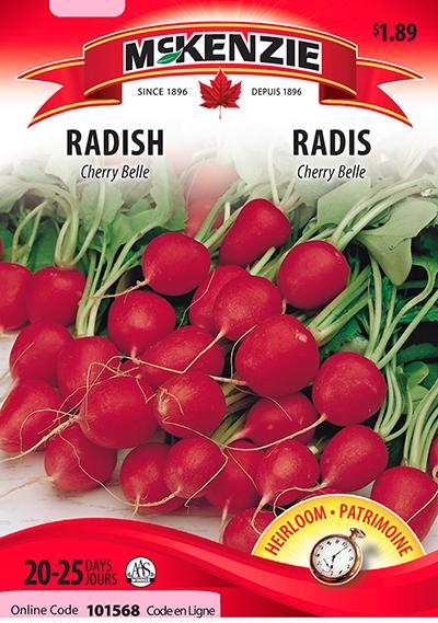 Radis ‘Cherry Belle’ / ‘Cherry Belle’ Radish - Pépinière