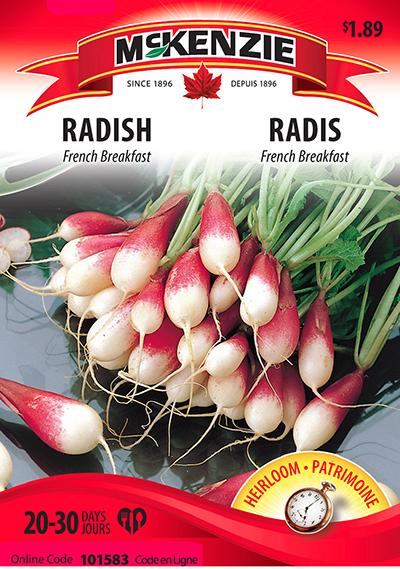Radis ‘French Breakfast’ / ‘French Breakfast’ Radish - Pépinière