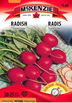 Radis ‘Scarlet Globe’ / ‘Scarlet Globe’ Radish - Pépinière