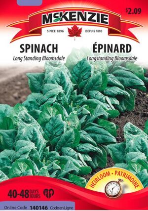 Épinard ‘Long Standing Bloomsdale’ / ‘Long Standing Bloomsdale’ Spinach - Pépinière