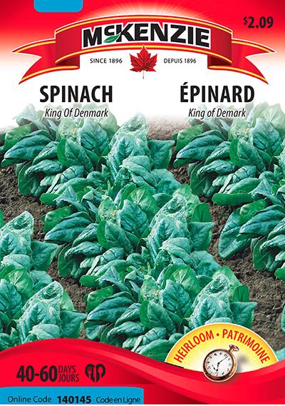Épinard ‘King of Denmark’ / ‘King of Denmark’ Spinach - Pépinière