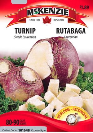 Rutabaga ‘Laurentian’ – Swede Turnip - Pépinière