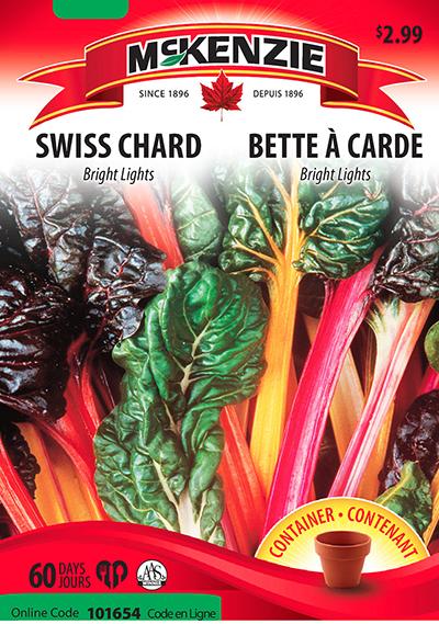 Bette à Carde ‘Bright Lights’ / ‘Bright Lights’ Swiss Chard - Pépinière