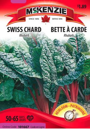Bette à Carde ‘Rhubarb’ – Swiss Chard - Pépinière
