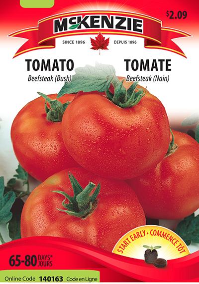 Tomate ‘Beefsteak’ / ‘Beefsteak’ Tomato - Pépinière