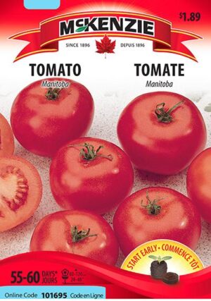 Tomate ‘Manitoba’ / ‘Manitoba’ Tomato - Pépinière