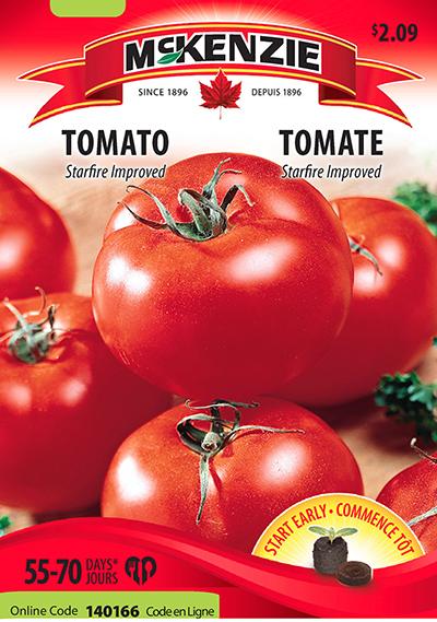 Tomate ‘Starfire Improved’ / ‘Starfire Improved’ Tomato - Pépinière