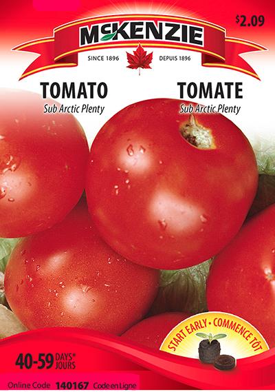 Tomate ‘Sub Arctic Plenty’ / ‘Sub Artic Plenty’ Tomate - Pépinière