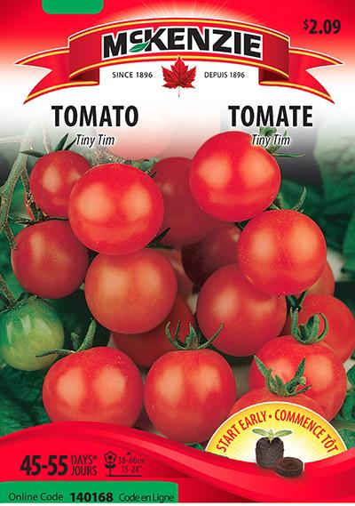 Tomate ‘Tiny Tim’ / ‘Tiny Tim’ Tomato - Pépinière