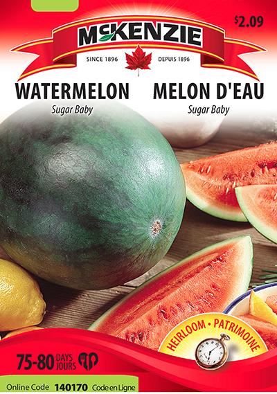Melon d’Eau ‘Sugar Baby’ / ‘Sugar Baby’ Watermelon - Pépinière