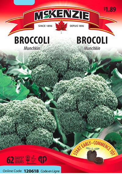 Brocoli ‘Munchkin’ / ‘Munchkin’ Broccoli - Pépinière