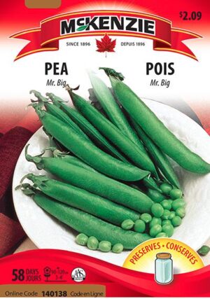 McKenzie / Peas ‘Mr. Big’ - Pépinière