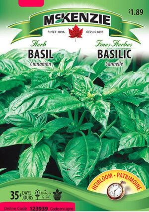 Basilic ‘Cannelle’ / ‘Cinnammon’ Basil - Pépinière