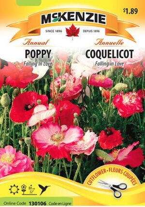 Coquelicot ‘Falling in Love’ / ‘Falling in Love’ Poppy - Pépinière