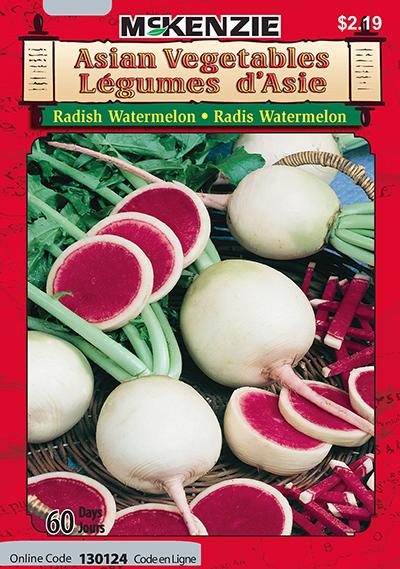 Radis ‘Watermelon’ Légumes d’Asie / ‘Watermelon’ Radish Asian Vegetables - Pépinière