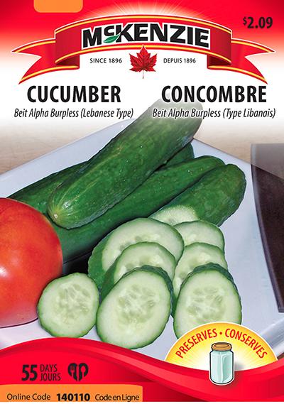 Concombre libanais ‘Beit Alpha Burpless’ / ‘Beit Alpha Burpless’ Lebanese Cucumber - Pépinière