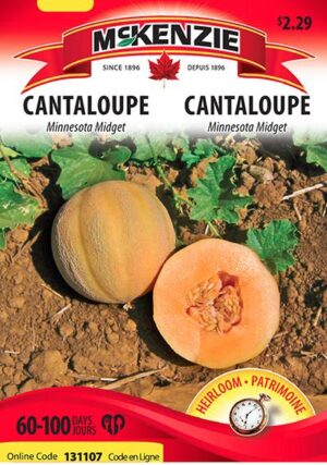 Cantaloup ‘Minnesota Midget’ / ‘Minnesota Midget’ Cantaloupe - Pépinière