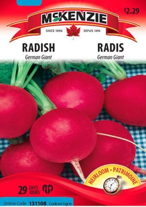 McKenzie / Radish ‘German Giant’ - Pépinière