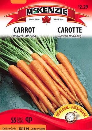McKenzie / Carrot ‘Danvers Half-Long’ - Pépinière