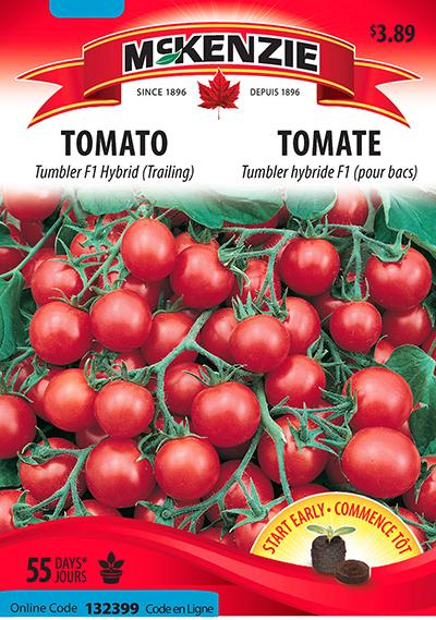 Tomate Hybride ‘Tumbler’ F1 / ‘Tumbler’ Hybrid Tomato F1 - Pépinière