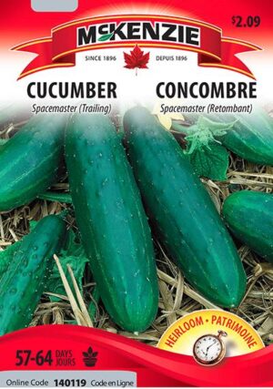 Concombre ‘Spacemaster’ (Retombant) – Cucumber (Trailing) - Pépinière