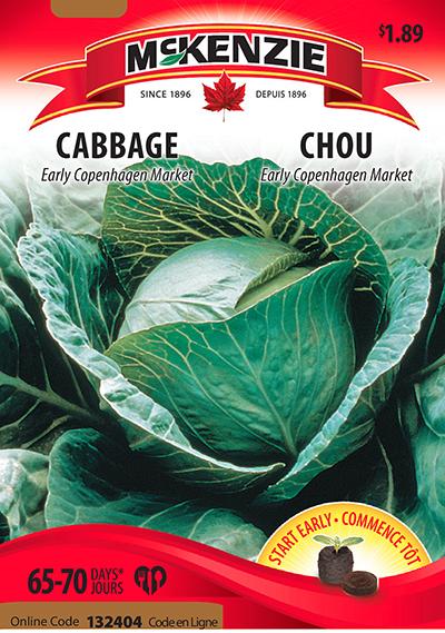 Chou ‘Early Copenhagen Market’ / ‘Early Copenhagen Market’ Cabbage - Pépinière