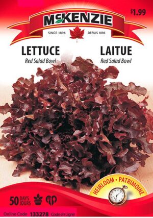 Laitue ‘Red Salad Bowl’ – Lettuce - Pépinière