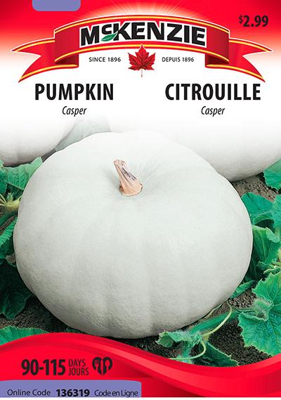 Citrouille ‘Casper’ / ‘Casper’ Pumpkin - Pépinière