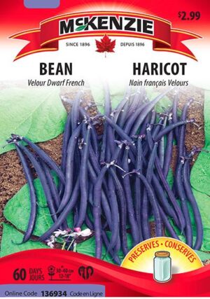 Haricot Nain Français ‘Velours’ / ‘Velours’ Dwarf French Bean - Pépinière