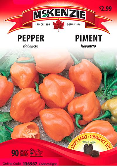 Piment Habanero – Pepper - Pépinière