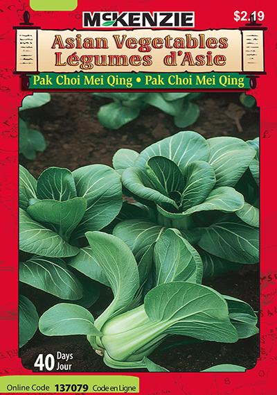 Pak Choi ‘Mei Qing’ Légumes d’Asie / ‘Mei Qing’ Pak Choi Asian Vegetables - Pépinière