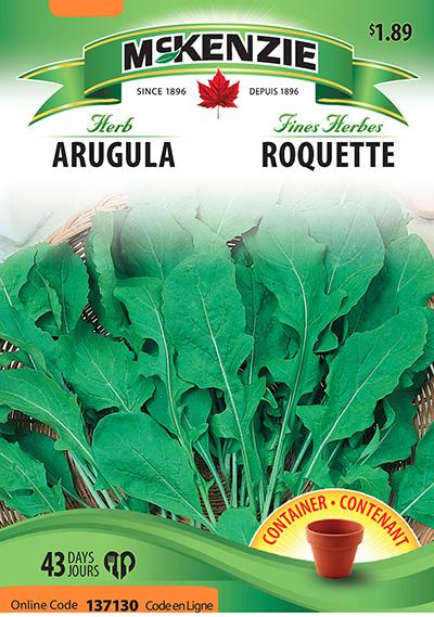 Roquette / Arugula - Pépinière