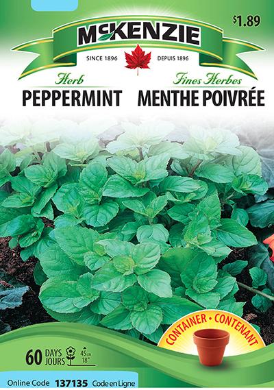 Menthe Poivrée / Peppermint - Pépinière