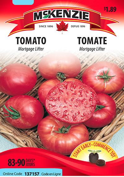 Tomate ‘Mortgage Lifter’ / ‘Mortgage Lifter’ Tomato - Pépinière