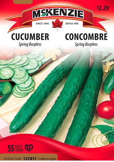Concombre ‘Spring Burpless’ / ‘Spring Burpless’ Cucumber - Pépinière