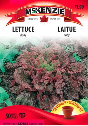 Laitue ‘Ruby’ / ‘Ruby’ Lettuce - Pépinière