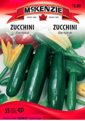 Zucchini Hybride ‘Elite’ / ‘Elite’ Hybrid Zucchini - Pépinière