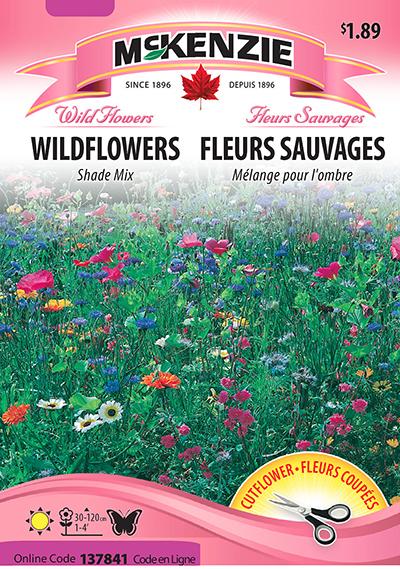 Fleurs Sauvages d’Ombre Mélange / Wildflowers Shade Mix - Pépinière